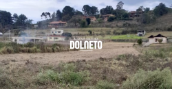 CHACARA EM CAMPOLIDE ID14364