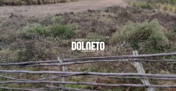 CHACARA EM CAMPOLIDE ID14364