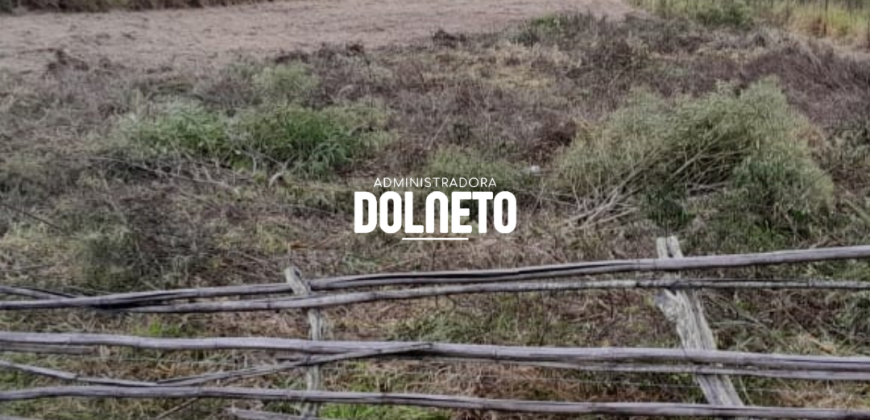 CHACARA EM CAMPOLIDE ID14364