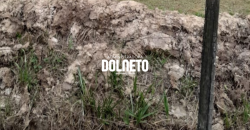 CHACARA EM CAMPOLIDE ID14364