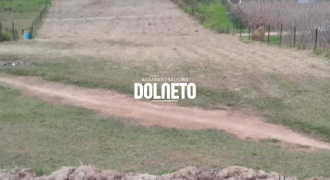 CHACARA EM CAMPOLIDE ID14364