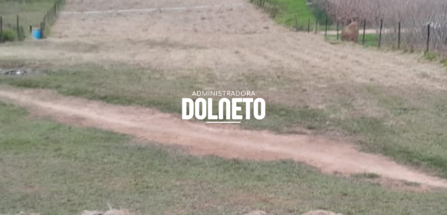 CHACARA EM CAMPOLIDE ID14364